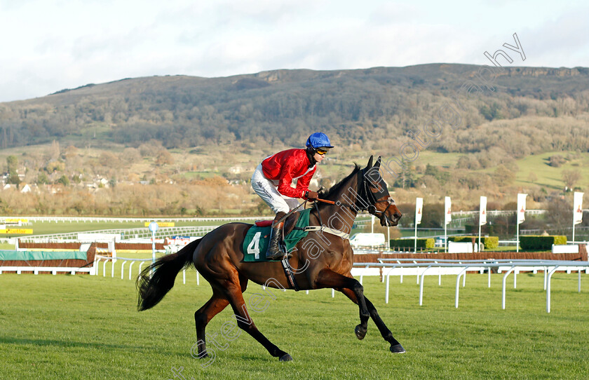 Rose-of-Arcadia-0001 
 ROSE OF ARCADIA (Brendan Powell)
Cheltenham 10 Dec 2021 - Pic Steven Cargill / Racingfotos.com