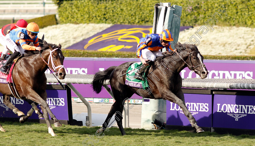 Auguste-Rodin-0001 
 AUGUSTE RODIN (Ryan Moore) wins The Breeders' Cup Turf
Santa Anita 4 Nov 2023 - pic Steven Cargill / Racingfotos.com