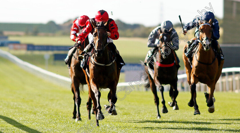 Naina-0003 
 NAINA (Christian Howarth) wins The Maritime Cargo Services Ocean Freight Frenzy Selling Stakes
Newmarket 9 Aug 2024 - Pic Steven Cargill / Racingfotos.com