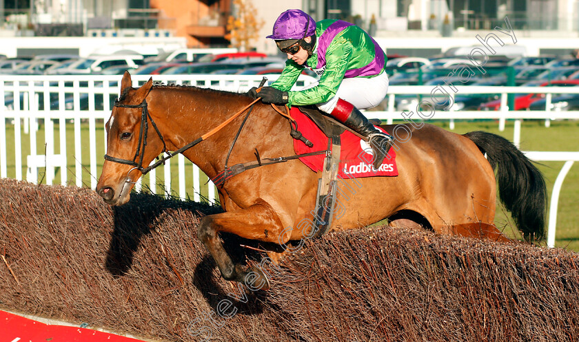 Gala-Ball-0001 
 GALA BALL (Richard Johnson)
Newbury 29 Nov 2019 - Pic Steven Cargill / Racingfotos.com