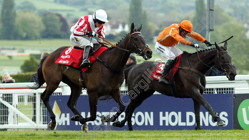 Latenightpass-0004 
 LATENIGHTPASS (left, Gina Andrews) beats CAPTAIN MCGINLEY (right) in The Connolly's Red Mills Intermediate Point-to-Point Championship Final Hunters Chase
Cheltenham 3 May 2019 - Pic Steven Cargill / Racingfotos.com