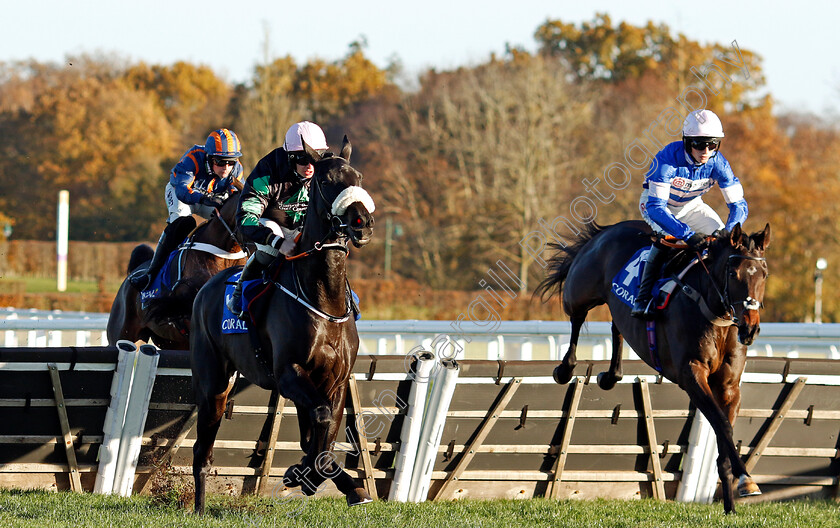 Blueking-d Oroux-0003 
 BLUEKING D'OROUX (right, Harry Cobden) beats STRONG LEADER (left) in The Coral Hurdle
Ascot 25 Nov 2023 - Pic Steven Cargill / Racingfotos.com