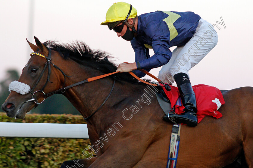 Bullfinch-0005 
 BULLFINCH (Jason Watson) wins The Unibet Extra Place Offers Every Day Novice Stakes Div2
Kempton 18 Aug 2020 - Pic Steven Cargill / Racingfotos.com