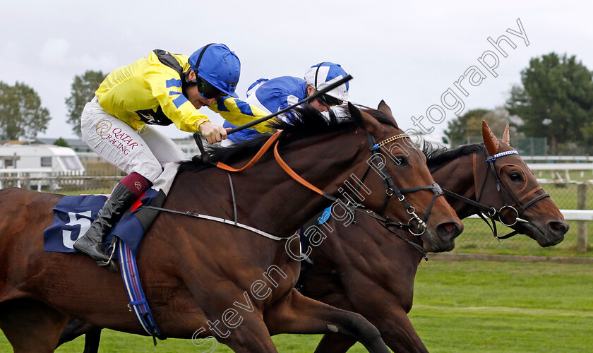 Coco-Royale-0002 
 COCO ROYALE (left, Cieren Fallon) beats LUNA EFFECT (right) in The Stream Racing At Bresbet.com Handicap
Yarmouth 16 Oct 2023 - Pic Steven Cargill / Racingfotos.com