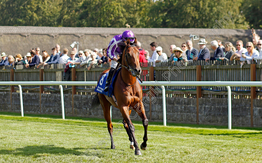 Little-Big-Bear-0002 
 LITTLE BIG BEAR (Ryan Moore)
Newmarket 15 Jul 2023 - Pic Steven Cargill / Racingfotos.com