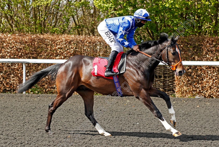 Dukebox-0002 
 DUKEBOX (Sean Levey) winner of The Play Slingo Starburst At Unibet EBF Novice Stakes
Kempton 5 Apr 2021 - Pic Steven Cargill / Racingfotos.com