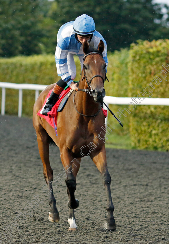 Amiloc-0005 
 AMILOC (Rossa Ryan) winner of The RacingTV EBF Restricted Novice Stakes
Kempton 6 Sep 2024 - Pic Steven Cargill / Racingfotos.com