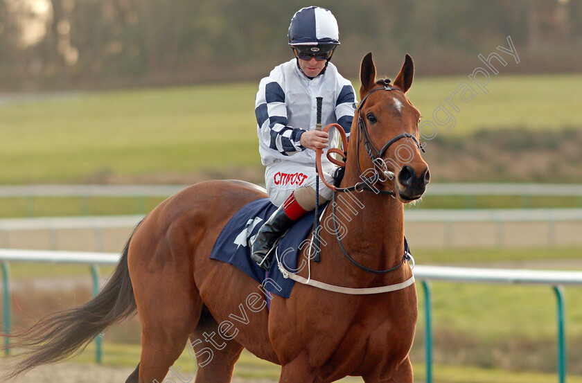 Sky-Defender-0001 
 SKY DEFENDER (Franny Norton) 
Lingfield 9 Dec 2019 - Pic Steven Cargill / Racingfotos.com