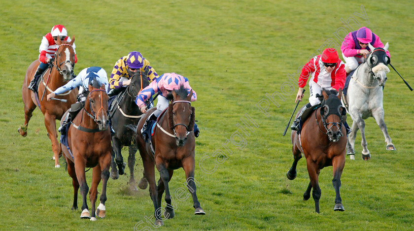 Han-Solo-Berger-0004 
 HAN SOLO BERGER (centre, Tom Queally) beats EXCELLENT GEORGE (left) and FOXY FOREVER (right) in The Injured Jockeys Fund Handicap
Yarmouth 17 Sep 2019 - Pic Steven Cargill / Racingfotos.com