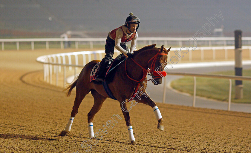 Kiefer-0001 
 KIEFER training for the UAE Derby
Meydan, Dubai, 22 Mar 2022 - Pic Steven Cargill / Racingfotos.com