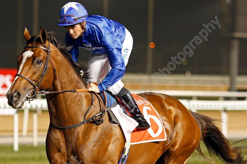 Gold-Star-0001 
 GOLD STAR (Jim Crowley) Meydan 10 Mar 2018 - Pic Steven Cargill / Racingfotos.com