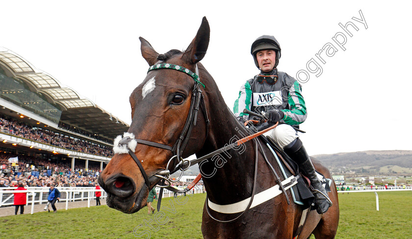 Altior-0009 
 ALTIOR (Nico de Boinville) after The Betway Queen Mother Champion Chase Cheltenham 14 Mar 2018 - Pic Steven Cargill / Racingfotos.com