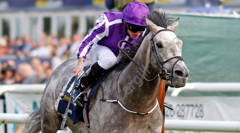 Capri-0010 
 CAPRI (Ryan Moore) wins The William Hill St Leger Doncaster 16 Sep 2017 - Pic Steven Cargill / Racingfotos.com