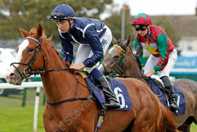 Adore-You-0002 
 ADORE YOU (Billy Loughnane)
Yarmouth 21 Sep 2023 - Pic Steven Cargill / Racingfotos.com