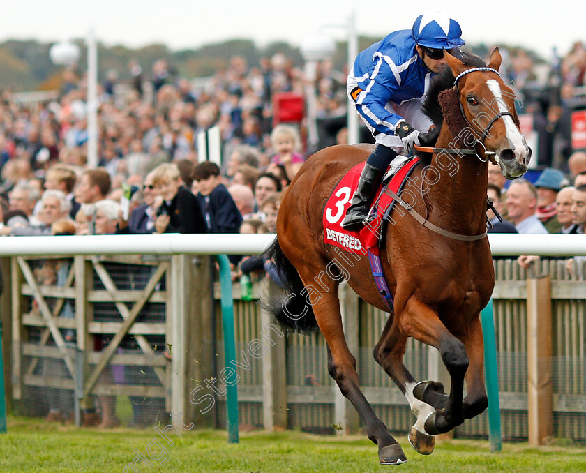 Withhold-0003 
 WITHHOLD (Silvestre De Sousa) wins The Betfred Cesarewitch Handicap Newmarket 14 Oct 2017 - Pic Steven Cargill / Racingfotos.com