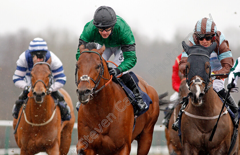 Kachy-0008 
 KACHY (centre, Richard Kingscote) beats CASPIAN PRINCE (right) in The Betway Cleves Stakes Lingfield 3 Feb 2018 - Pic Steven Cargill / Racingfotos.com