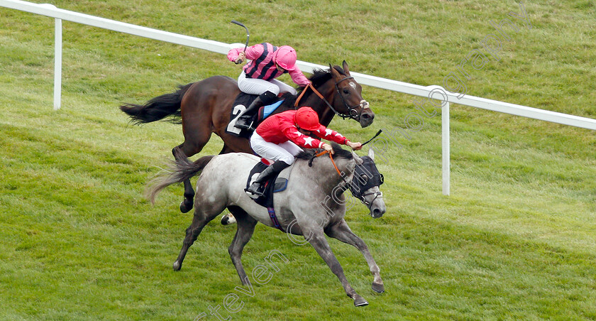 Red-Force-One-0001 
 RED FORCE ONE (Martin Harley) beats SWISS STORM in The Wellchild Handicap
Newbury 18 Aug 2018 - Pic Steven Cargill / Racingfotos.com