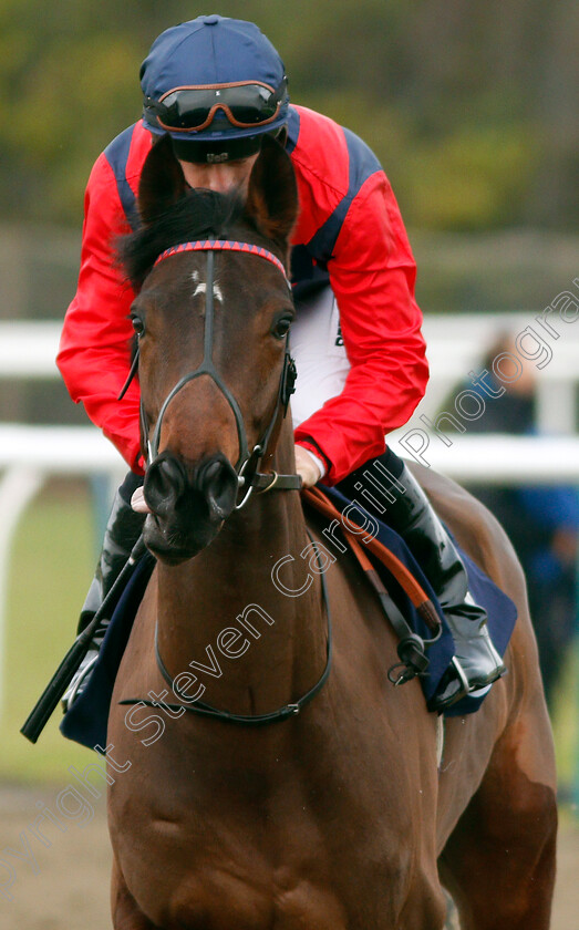 Knight-Errant-0001 
 KNIGHT ERRANT (Tom Marquand) Lingfield 6 Jan 2018 - Pic Steven Cargill / Racingfotos.com