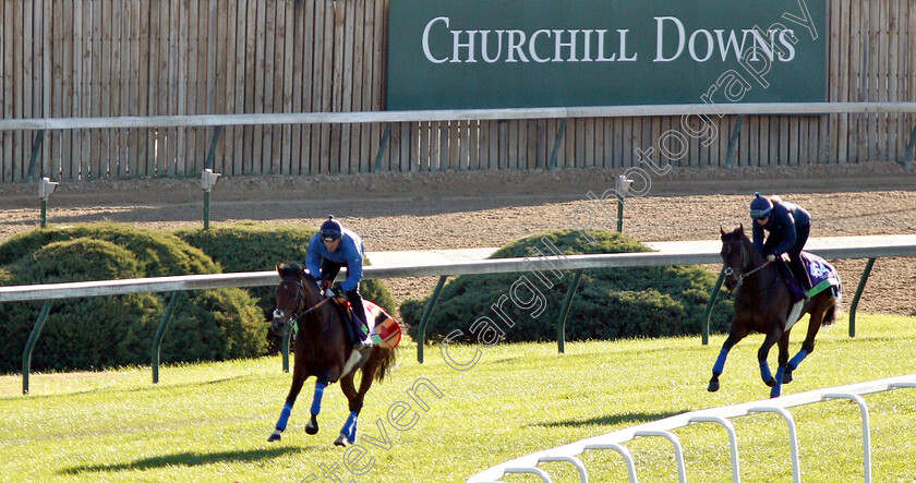 Expert-Eye-leads-Mustashry-0002 
 EXPERT EYE leads MUSTASHRY exercising ahead of the Breeders' Cup Mile
Churchill Downs USA 29 Oct 2018 - Pic Steven Cargill / Racingfotos.com