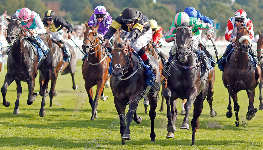 Pogo-0002 
 POGO (right, Kieran Shoemark) beats VITRALITE (left) in The Nationwide Accident Repair Services Handicap
York 23 Aug 2019 - Pic Steven Cargill / Racingfotos.com