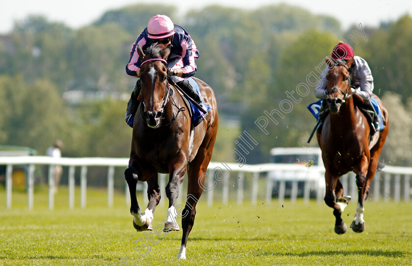 Spirit-Of-Bermuda-0010 
 SPIRIT OF BERMUDA (Tom Marquand) wins The Follow Us On Twitter @leicesterraces Fillies Handicap
Leicester 1 Jun 2021 - Pic Steven Cargill / Racingfotos.com