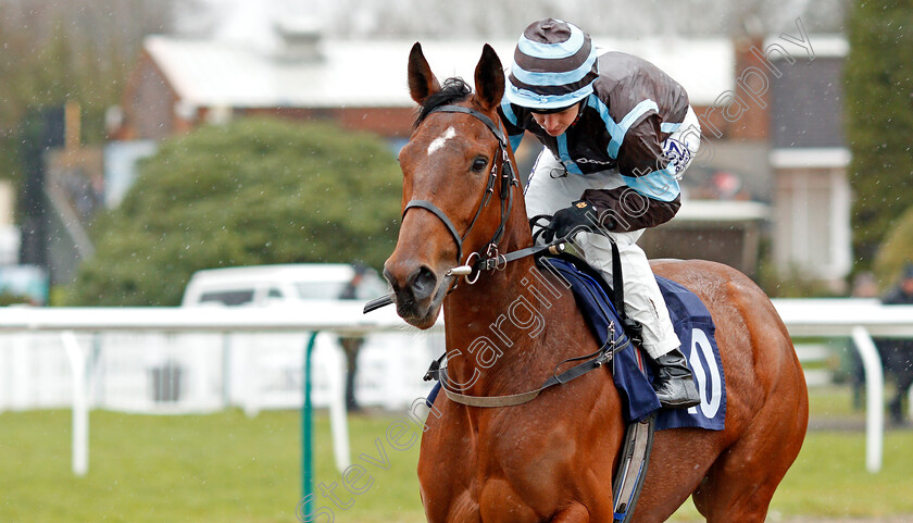 Chica-Del-Dia-0002 
 CHICA DEL DIA (David Probert)
Lingfield 15 Feb 2020 - Pic Steven Cargill / Racingfotos.com