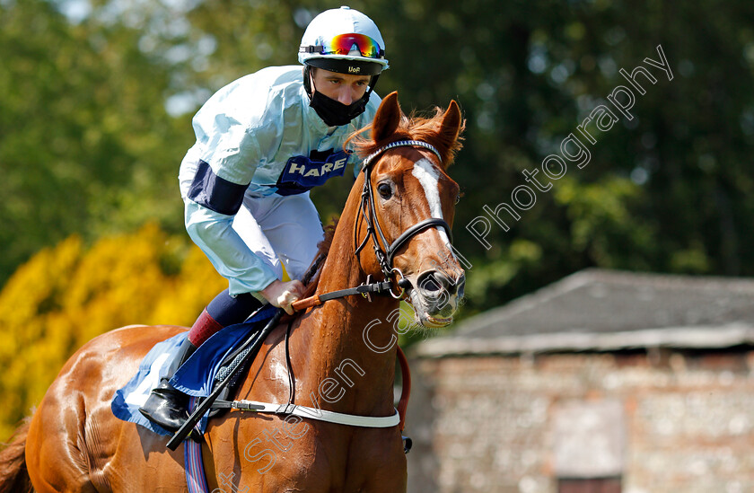 Dromquinna-0002 
 DROMQUINNA (David Egan)
Saslisbury 8 Jun 2021 - Pic Steven Cargill / Racingfotos.com