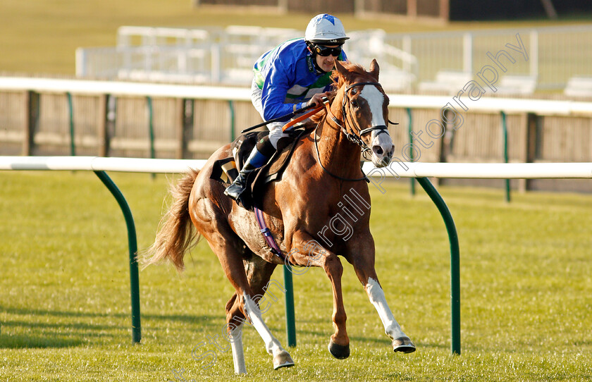 Balgair-0005 
 BALGAIR (Ross Birkett) wins The Close Brothers Invoice Finance Amateur Jockeys Cambridgeshire Handicap
Newmarket 19 Sep 2020 - Pic Steven Cargill / Racingfotos.com