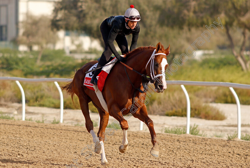 Kabirkhan-0006 
 KABIRKHAN training for The Dubai World Cup at the Al Quoz training track
Meydan Dubai 27 Mar 2024 - Pic Steven Cargill / Racingfotos.com