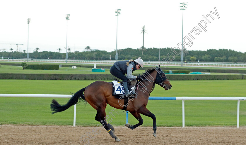 Mission-Command-0002 
 MISSION COMMAND training at the Dubai Racing Carnival 
Meydan 2 Jan 2025 - Pic Steven Cargill / Racingfotos.com