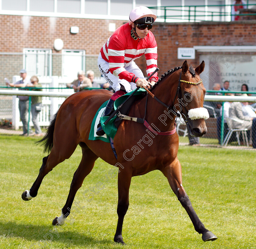 Mecca s-Gift-0002 
 MECCA'S GIFT (Andrew Mullen)
Thirsk 4 Jul 2018 - Pic Steven Cargill / Racingfotos.com