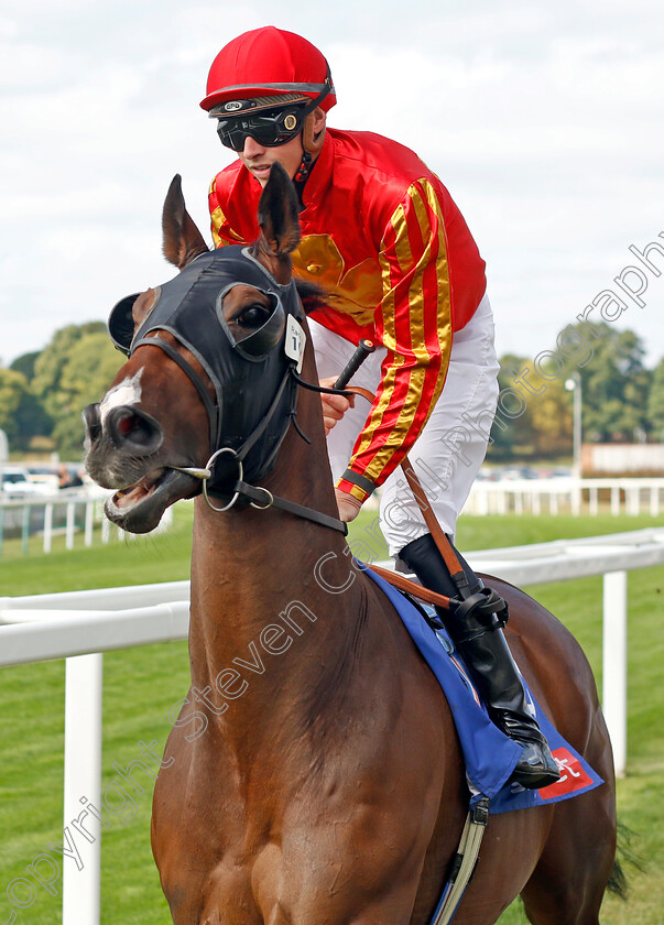 Good-Eye 
 GOOD EYE (James Doyle)
York 17 Aug 2022 - Pic Steven Cargill / Racingfotos.com