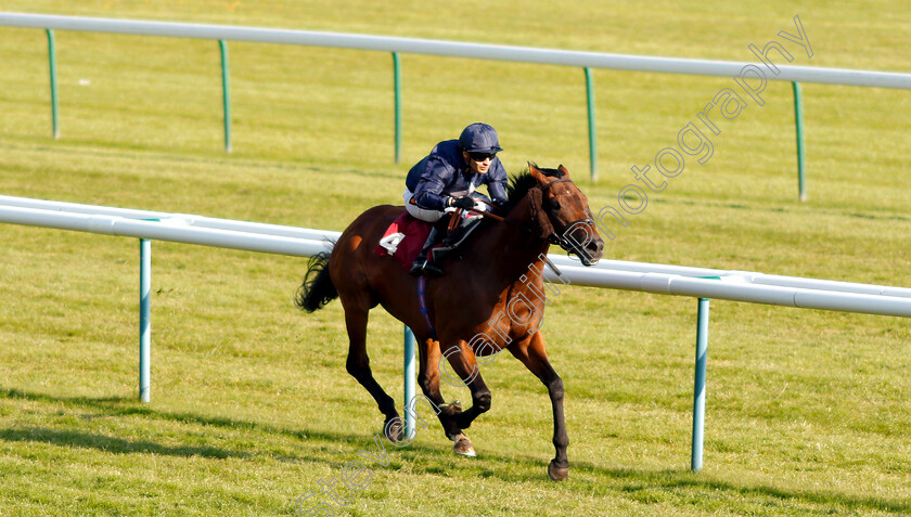 Nayel-0002 
 NAYEL (Silvestre De Sousa) wins The Armstrong Family Support The ABF Handicap
Haydock 26 May 2018 - Pic Steven Cargill / Racingfotos.com