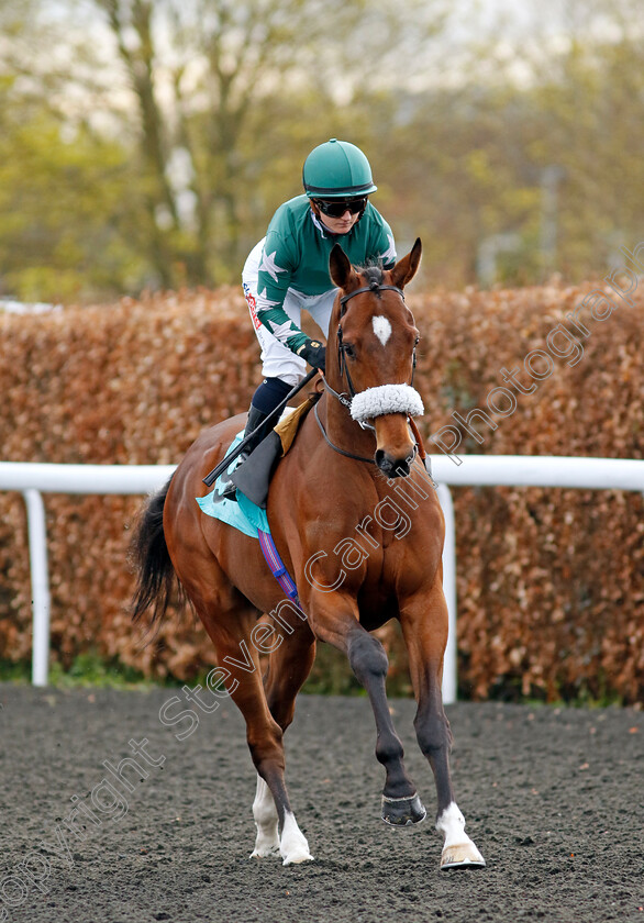 Screaming-Eagle-0001 
 SCREAMING EAGLE (Hollie Doyle)
Kempton 3 Apr 2024 - Pic Steven Cargill / Racingfotos.com