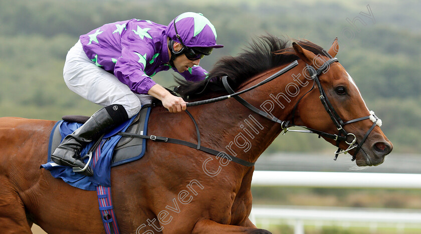 Formula-One-0008 
 FORMULA ONE (Ben Curtis) wins The Watch Live Programming On The ATR App Novice Stakes
Ffos Las 14 Aug 2018 - Pic Steven Cargill / Racingfotos.com