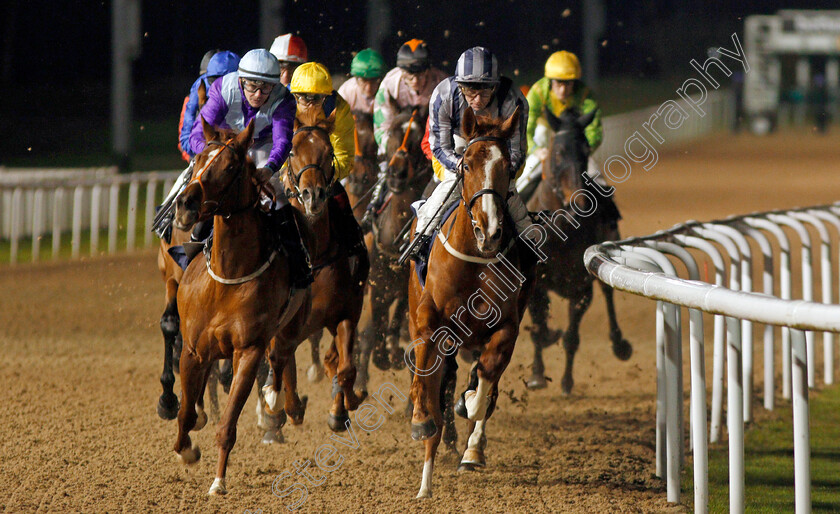 Vertice-0002 
 VERTICE (Jimmy Quinn)
Wolverhampton 13 Jan 2020 - Pic Steven Cargill / Racingfotos.com