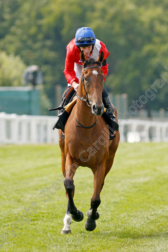 Potapova-0001 
 POTAPOVA (Ryan Moore)
Epsom 4 Jun 2022 - Pic Steven Cargill / Racingfotos.com