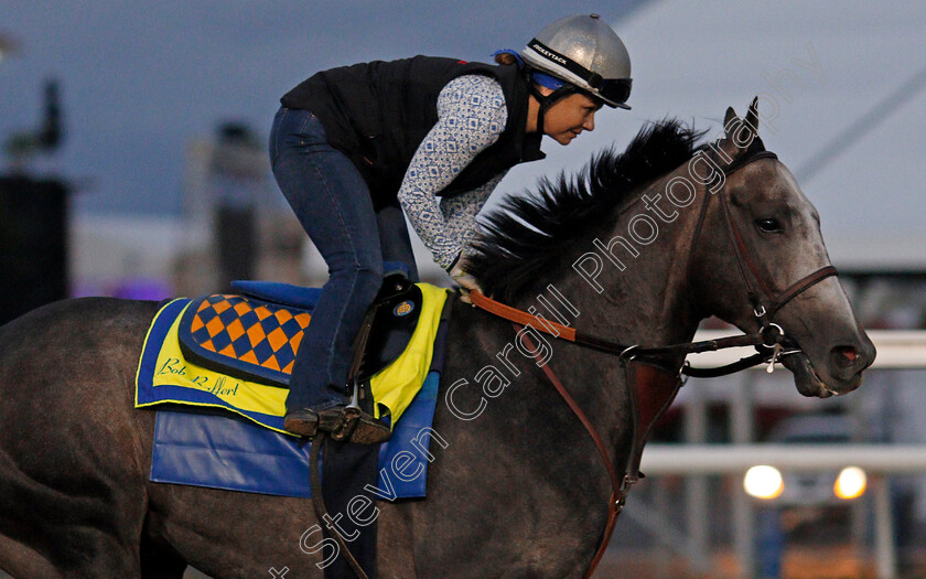 Arrogate-0010 
 ARROGATE training for The Breeders' Cup Classic at Del Mar 2 Nov 2017 - Pic Steven Cargill / Racingfotos.com