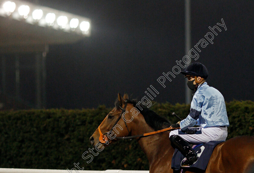 Host-0003 
 HOST (Thore Hammer Hansen)
Wolverhampton 11 Jan 2021 - Pic Steven Cargill / Racingfotos.com