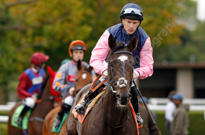 Fleeting-Moment-0001 
 FLEETING MOMENT (Richard Kingscote)
Kempton 2 Oct 2024 - pic Steven Cargill / Racingfotos.com