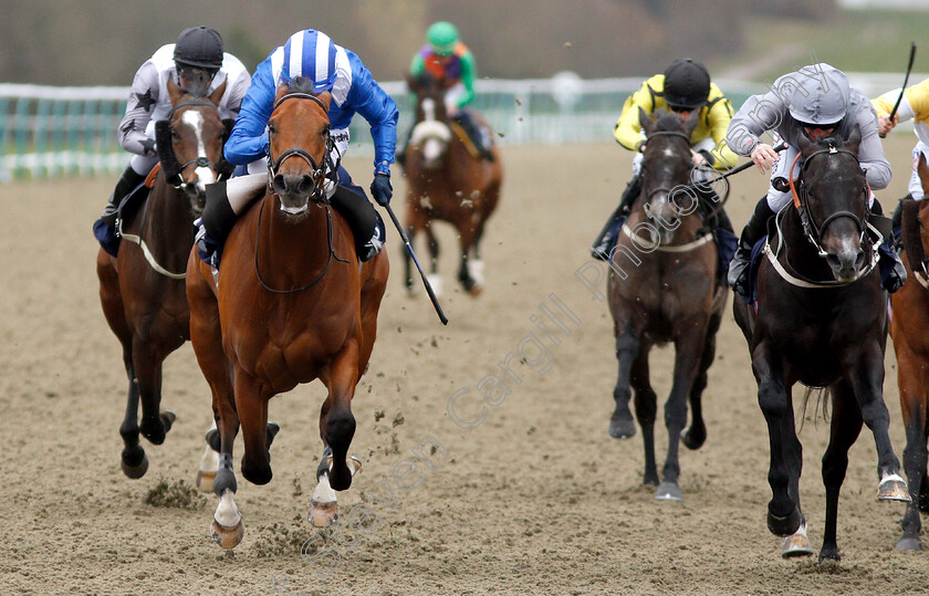 Fanaar-0006 
 FANAAR (left, Jim Crowley) beats DEEP INTRIGUE (right) in The Ladbrokes Spring Cup Stakes
Lingfield 2 Mar 2019 - Pic Steven Cargill / Racingfotos.com