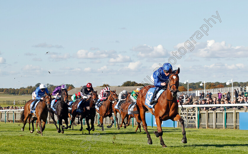 Verse-Of-Love-0005 
 VERSE OF LOVE (William Buick) wins The Godolphin Under Starters Orders Maiden Fillies Stakes
Newmarket 11 Oct 2024 - pic Steven Cargill / Racingfotos.com