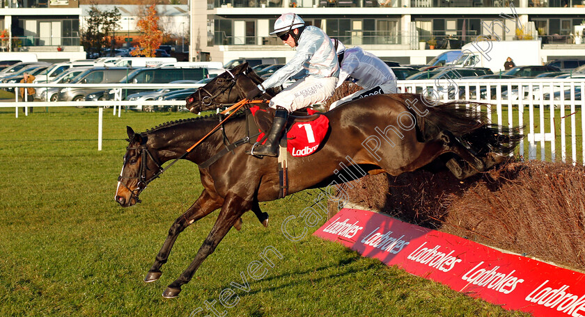 Black-Op-0002 
 BLACK OP (Jonathan Burke)
Newbury 29 Nov 2019 - Pic Steven Cargill / Racingfotos.com