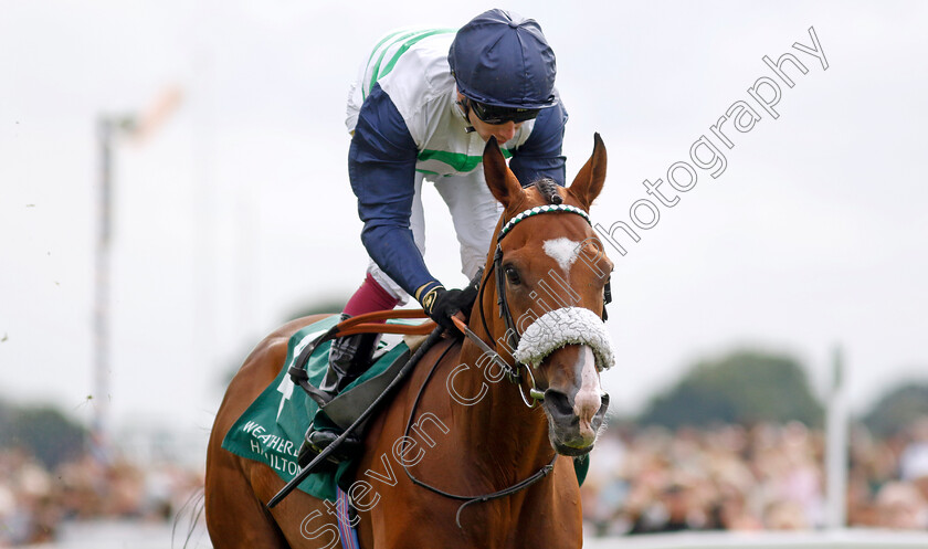 Coltrane-0001 
 COLTRANE (Oisin Murphy) wins The Weatherbys Hamilton Lonsdale Cup
York 25 Aug 2023 - Pic Steven Cargill / Racingfotos.com