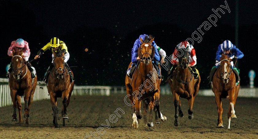 Royal-Crusade-0001 
 ROYAL CRUSADE (centre, William Buick) beats TABDEED (right) and BAHRAIN PRIDE (2nd left) in The ebfstallions.com Conditions Stakes
Kempton 6 Oct 2021 - Pic Steven Cargill / Racingfotos.com