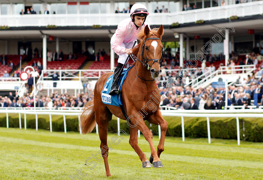 Family-Tree-0001 
 FAMILY TREE (Donnacha O'Brien) 
Chester 9 May 2018 - Pic Steven Cargill / Racingfotos.com