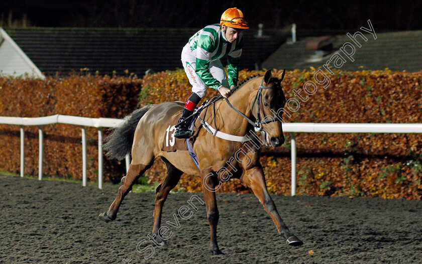 Wild-Animal-0001 
 WILD ANIMAL (Shane Kelly)
Kempton 27 Nov 2019 - Pic Steven Cargill / Racingfotos.com