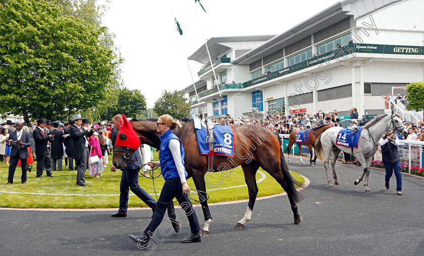 Military-Order-7644 
 MILITARY ORDER
Epsom 3 Jun 2023 - Pic Steven Cargill / Racingfotos.com