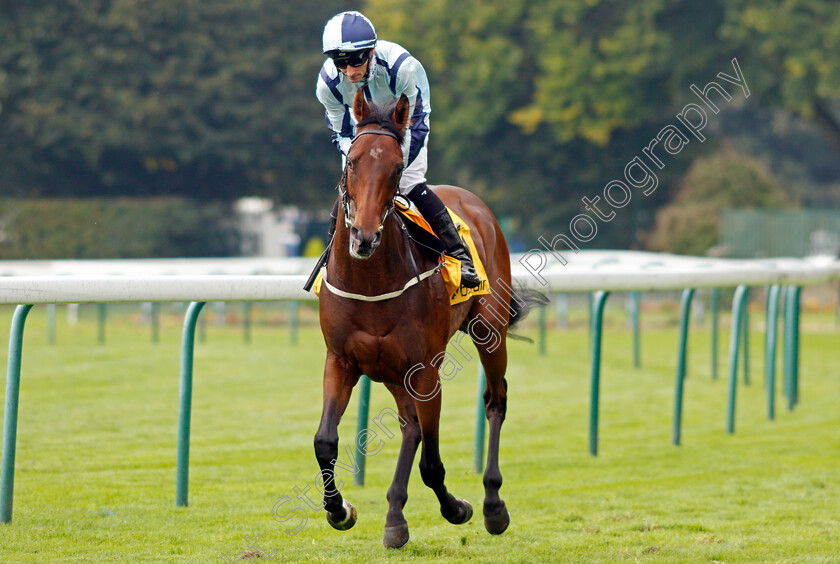 Epic-Poet-0007 
 EPIC POET (Daniel Tudhope) winner of The Betfair Old Borough Cup
Haydock 7 Sep 2024 - Pic Steven Cargill / Racingfotos.com