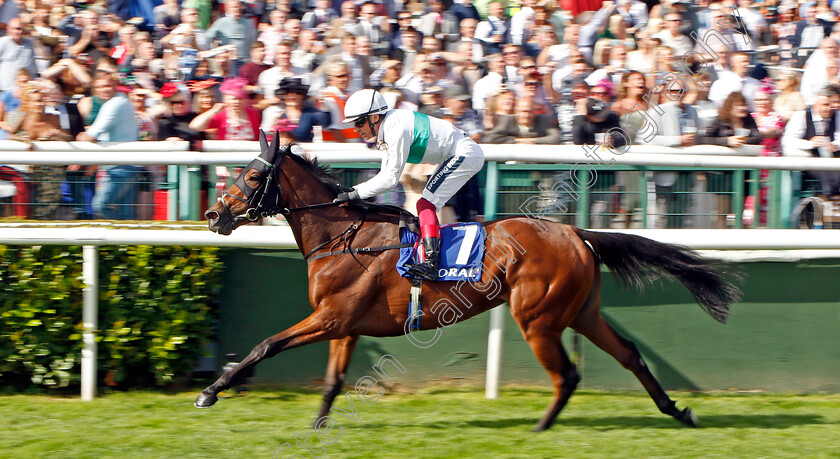 Mimikyu-0002 
 MIMIKYU (Frankie Dettori) wins The Coral Park Hill Stakes
Doncaster 8 Sep 2022 - Pic Steven Cargill / Racingfotos.com